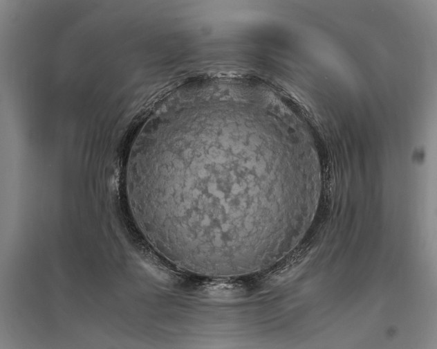 X0000095520315200712141452