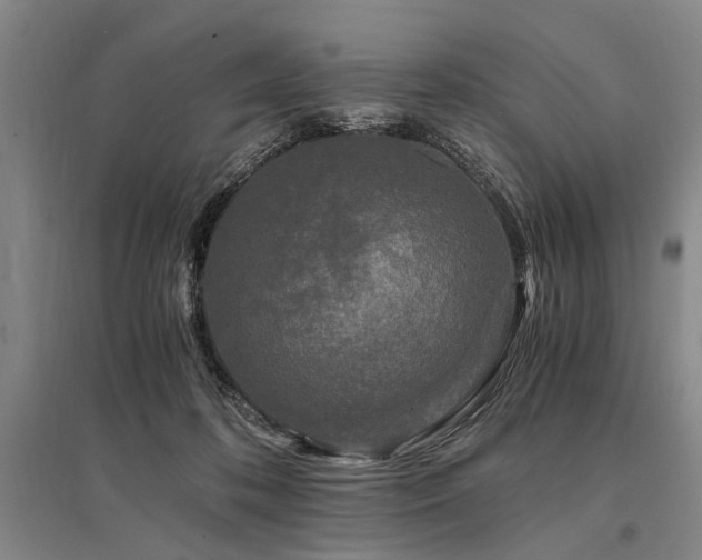 X0000095520316200712141452