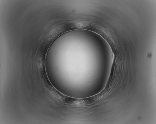 X0000095520317200712141452