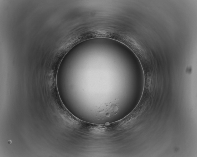 X0000095520318200712141452