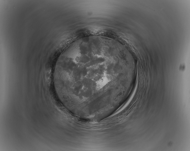 X0000095520319200712141452