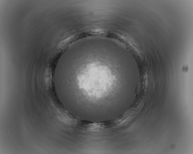 X0000095520320200712141452