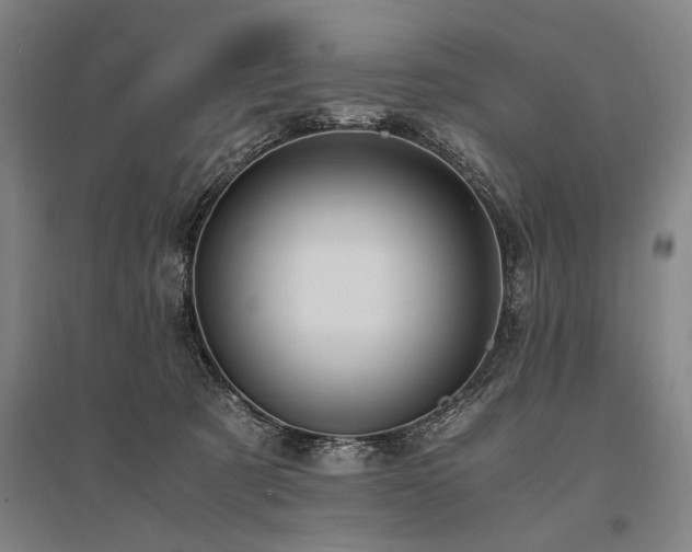 X0000095520321200712141452