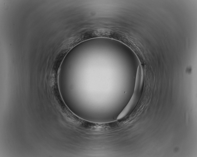 X0000095520323200712141452