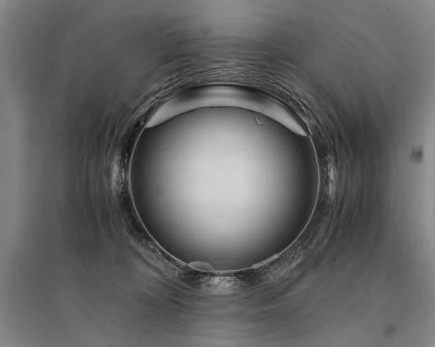 X0000095520324200712141452