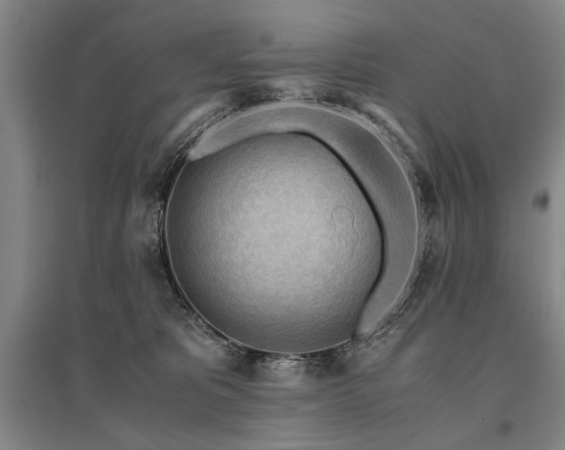 X0000095520325200712141452