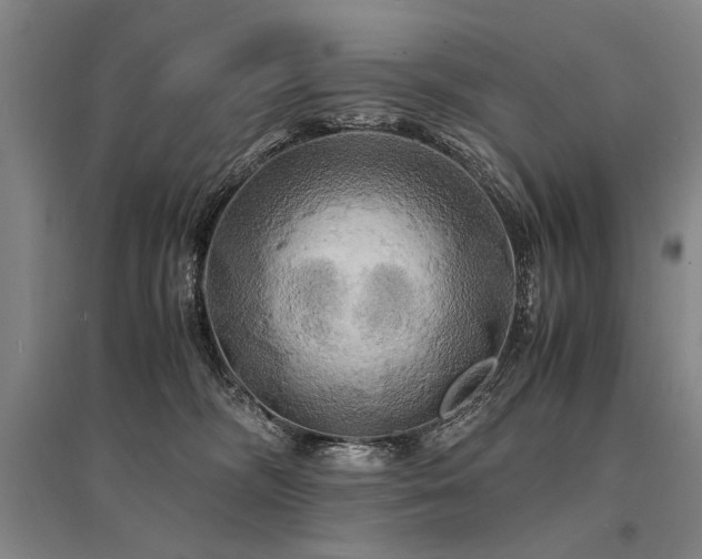 X0000095520326200712141452