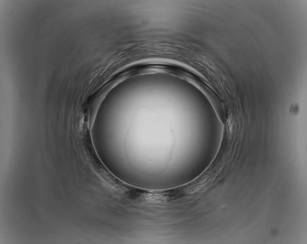 X0000095520327200712141452