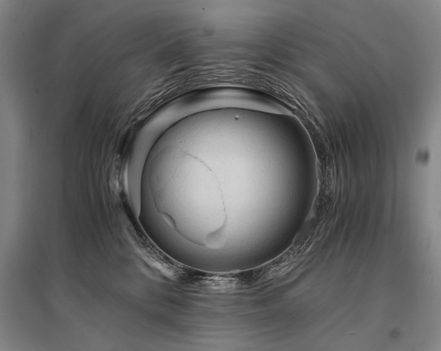 X0000095520328200712141452