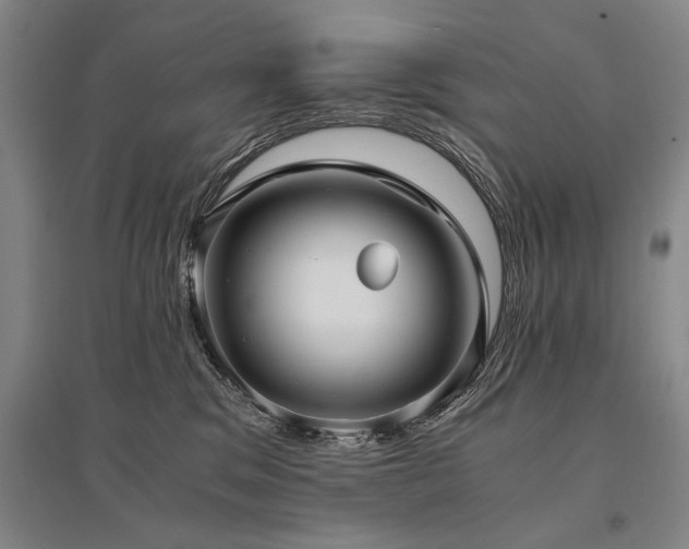 X0000095520329200712141452