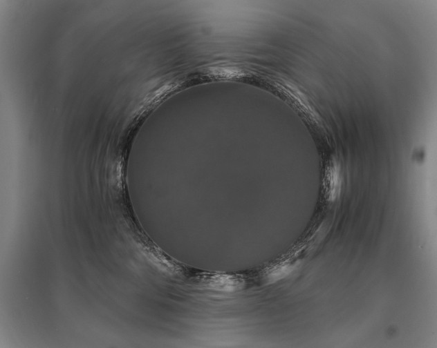 X0000095520330200712141452