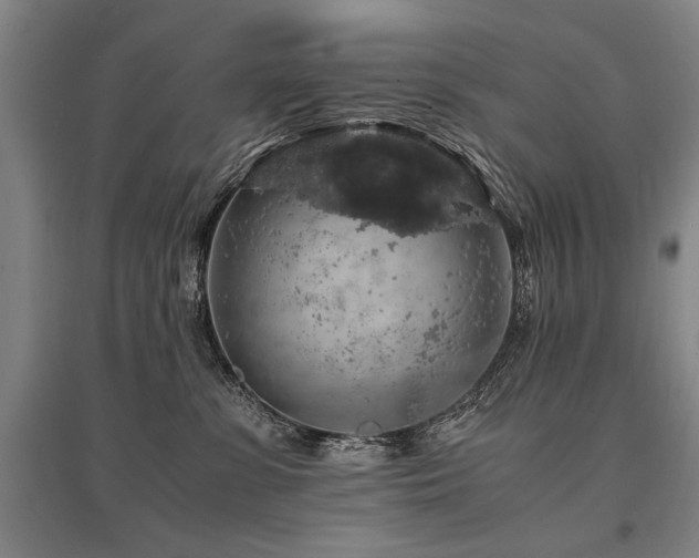 X0000095520331200712141452