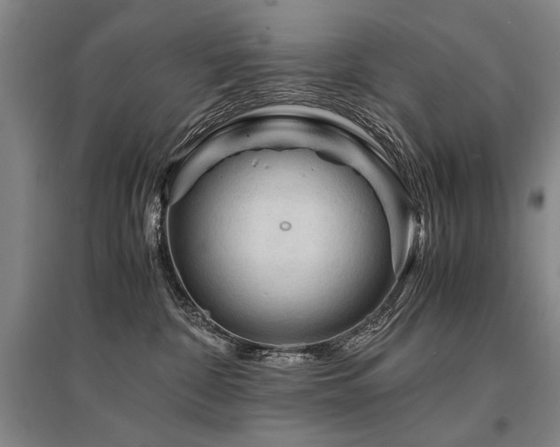 X0000095520332200712141452