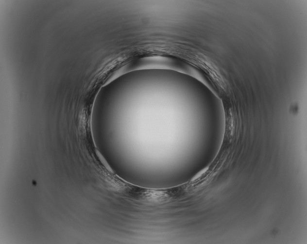 X0000095520333200712141452