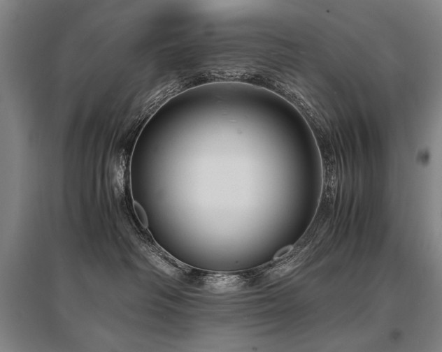 X0000095520334200712141452