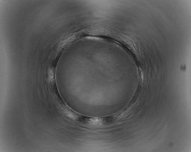 X0000095520335200712141452