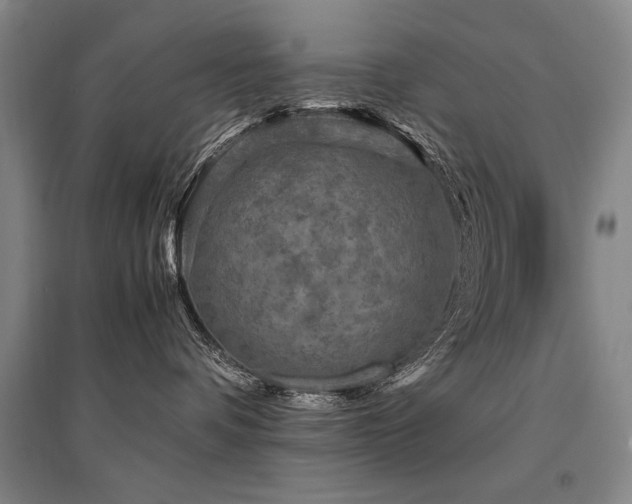 X0000095520336200712141452