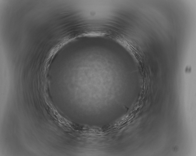 X0000095520337200712141451