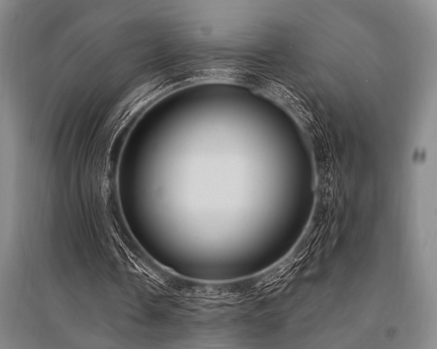 X0000095520338200712141451