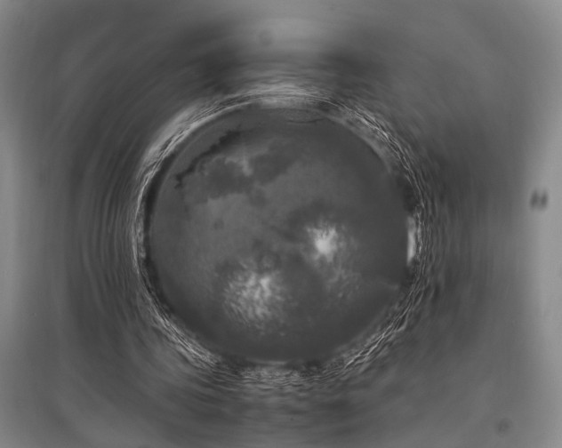 X0000095520339200712141451