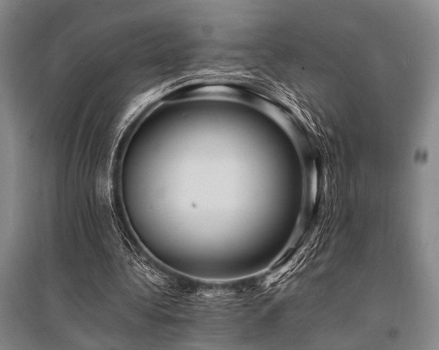 X0000095520340200712141451