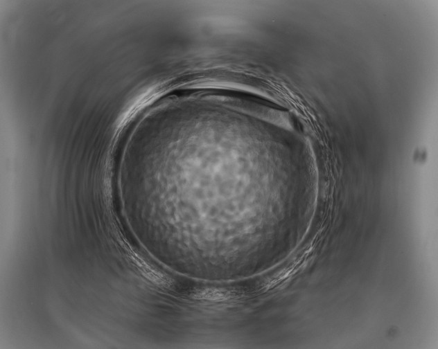 X0000095520341200712141451