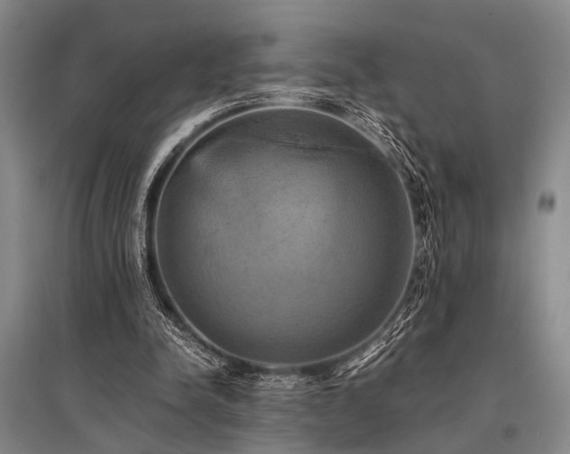 X0000095520342200712141451