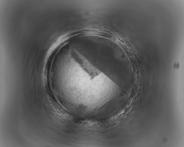 X0000095520343200712141451