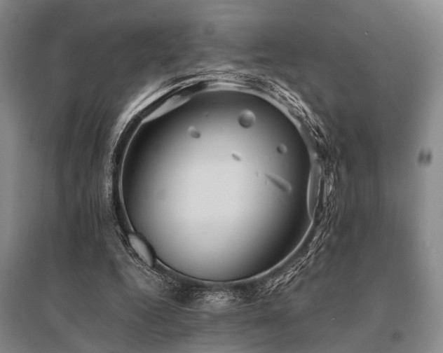 X0000095520344200712141451