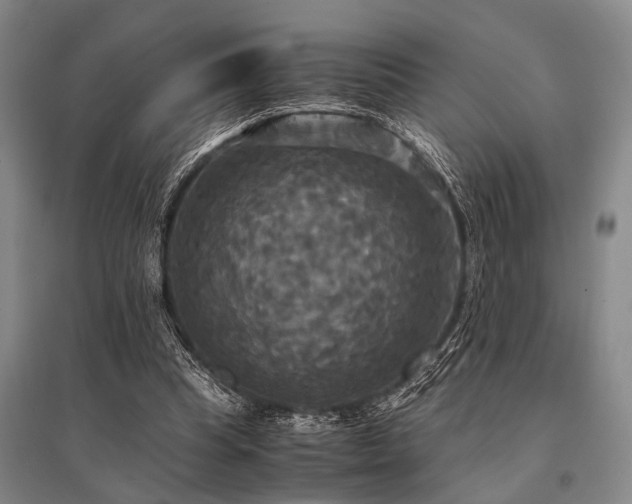 X0000095520345200712141451