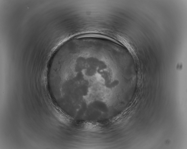 X0000095520346200712141451