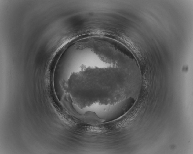 X0000095520347200712141451