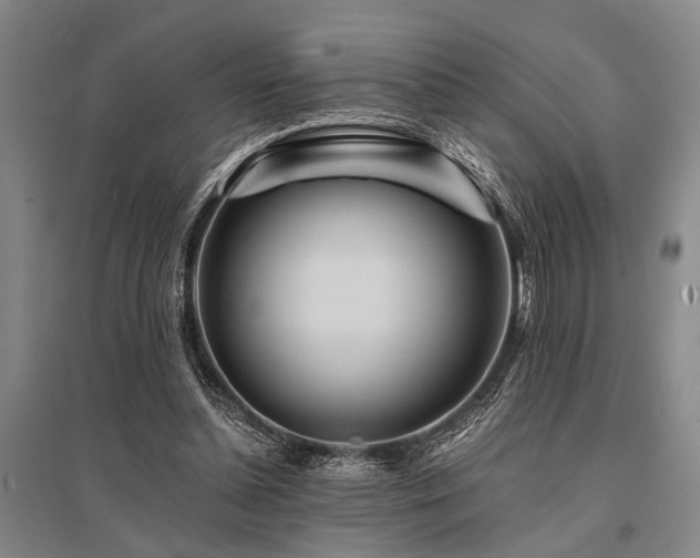 X0000095520348200712141451