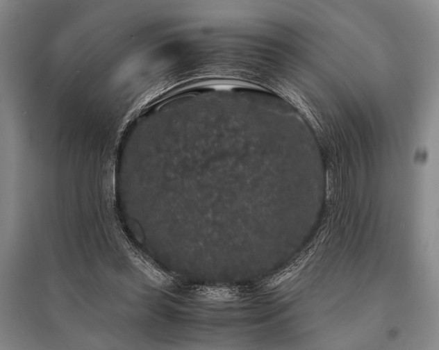 X0000095520349200712141451