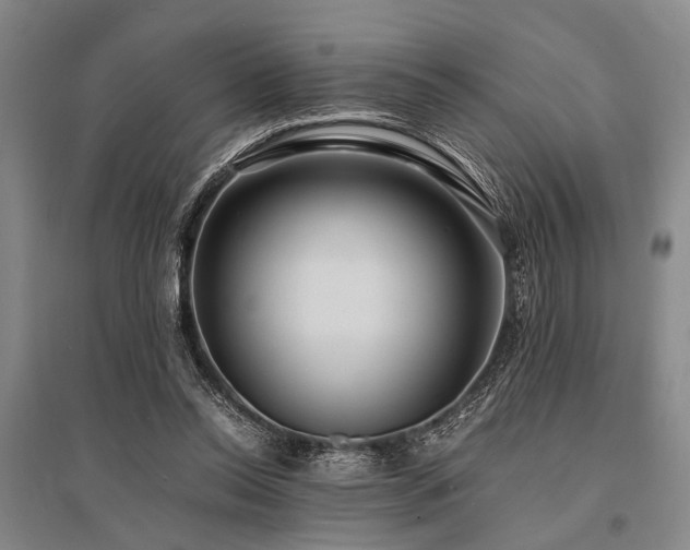 X0000095520350200712141451