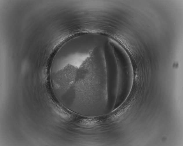 X0000095520351200712141451