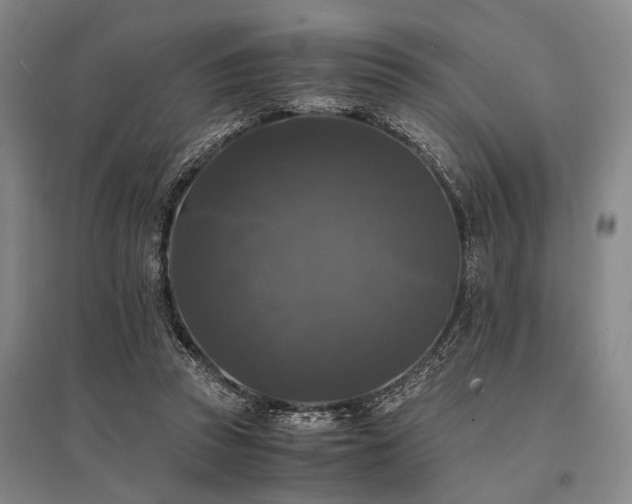 X0000095520353200712141451