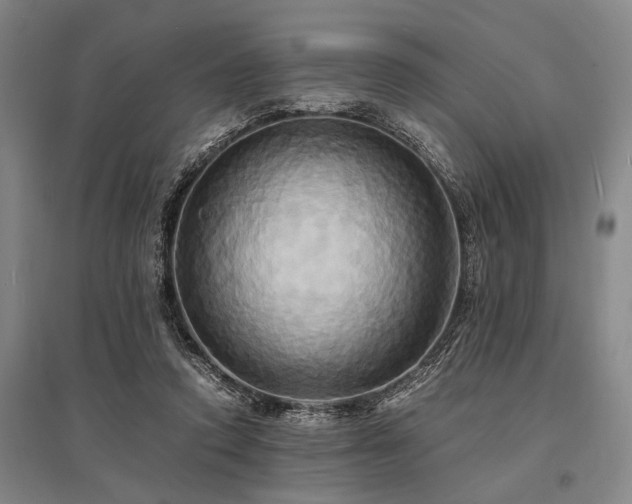 X0000095520354200712141451