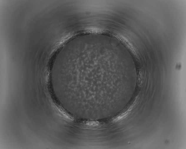 X0000095520355200712141451