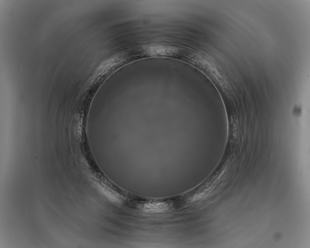 X0000095520357200712141451