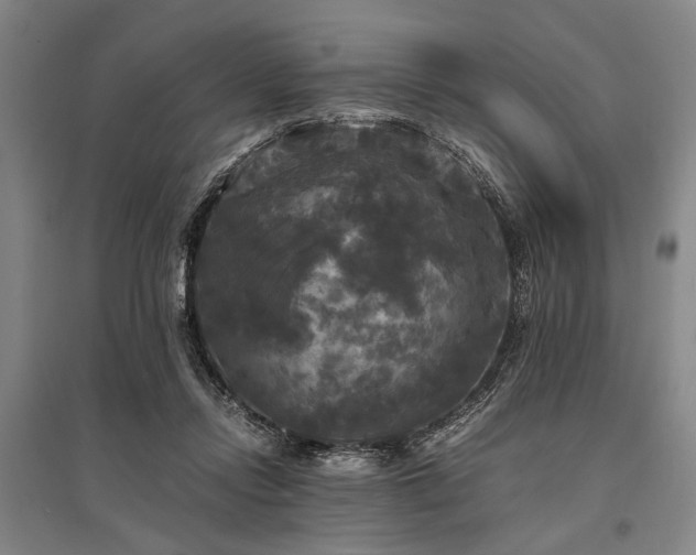 X0000095520358200712141451