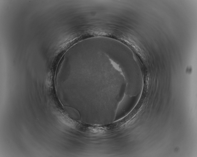 X0000095520359200712141451