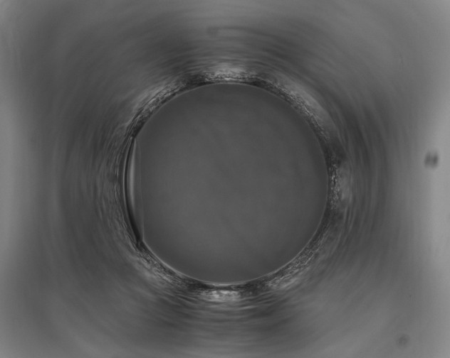 X0000095520361200712141451