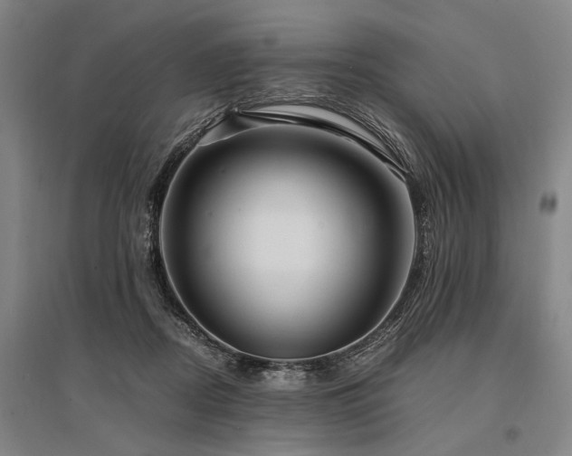 X0000095520362200712141451