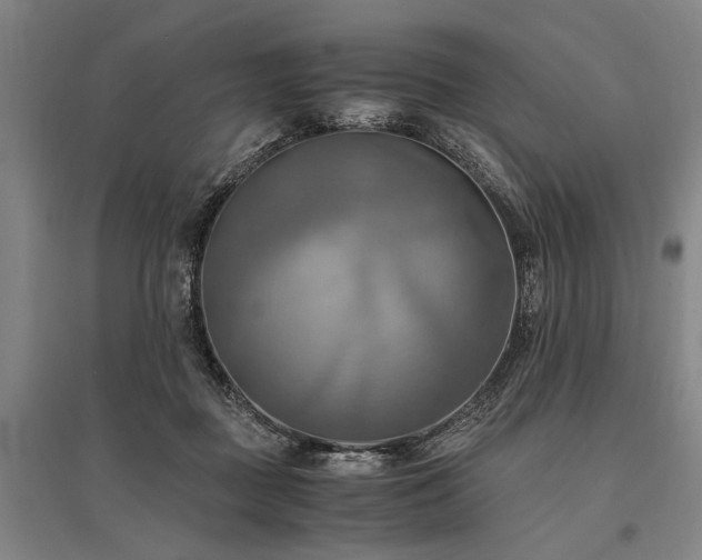 X0000095520363200712141451