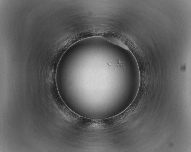 X0000095520364200712141451