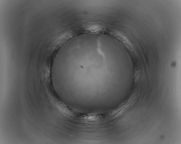 X0000095520365200712141451