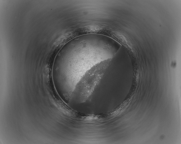 X0000095520366200712141451