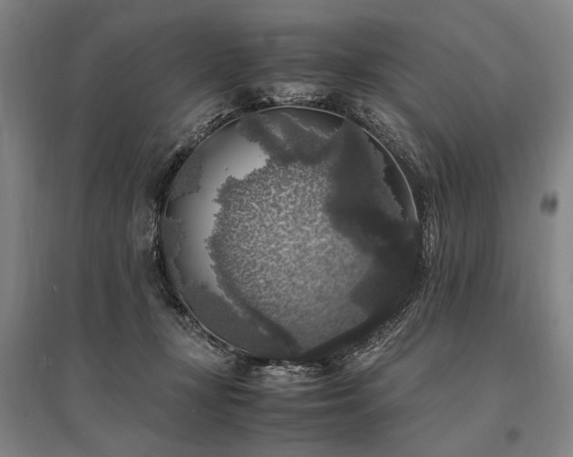 X0000095520367200712141451