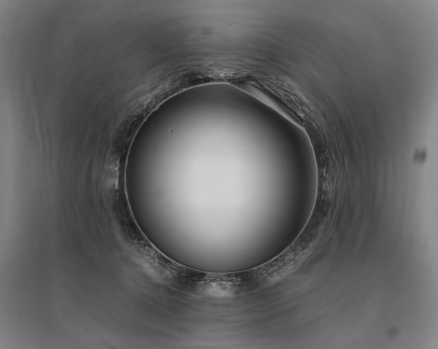 X0000095520368200712141451